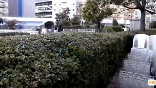 日韩 亚洲 欧美 中文_欧美亚洲精品成人视频
